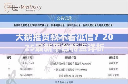 大鹅推贷款不看征信？2025最新平台特点详析
