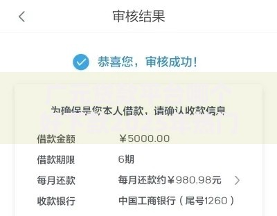 广元贷款平台哪个好下款2025年热门正规口子无视黑白下款案例