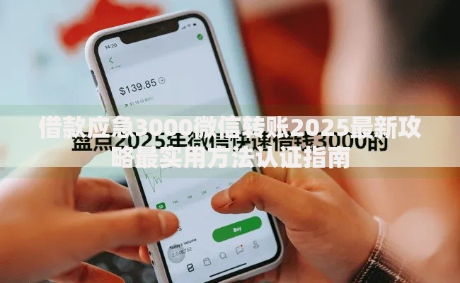 借款应急3000微信转账2025最新攻略最实用方法认证指南 借款应急3000微信转账2025最新攻略最实用方法认证指南