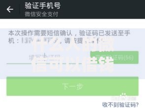 什么人的微信可以借钱2025年热门借款平台最新解析 什么人的微信可以借钱2025年热门借款平台最新解析