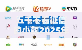 五千不看征信的小额2025年产品汇总推荐热门平台 五千不看征信的小额2025年产品汇总推荐热门平台