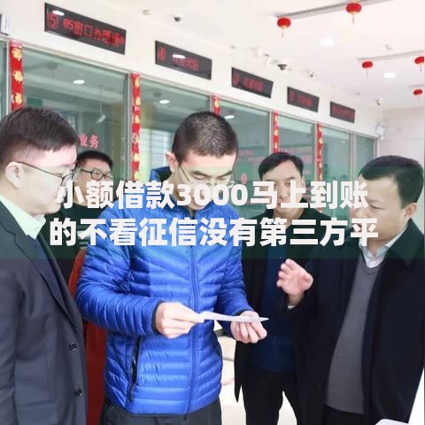 小额借款3000马上到账的不看征信没有第三方平台2025可靠吗最新剖析