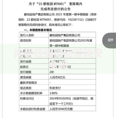 向碧桂园微信借钱安全吗 向碧桂园微信借钱安全吗