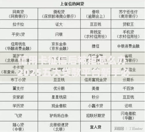 信用卡征信后被拒怎么办 2025五大贷款平台新手必看 信用卡征信后被拒怎么办 2025五大贷款平台新手必看