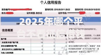 2025年哪个平台不看征信借钱最快 最新不看征信正规网贷