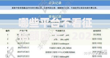 哪些平台不看征信额度大?2025最新高额度贷款推荐! 哪些平台不看征信额度大?2025最新高额度贷款推荐!