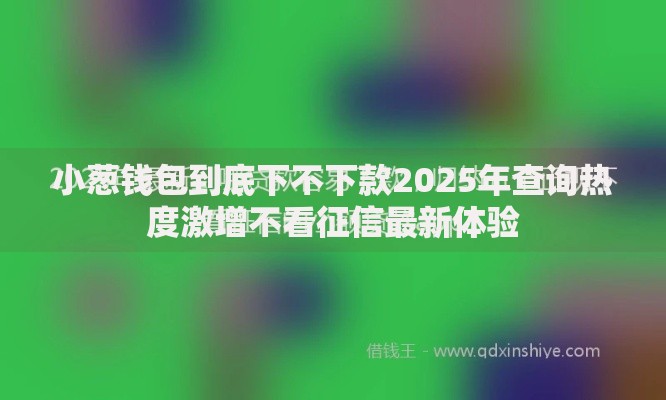 小葱钱包到底下不下款2025年查询热度激增不看征信最新体验 小葱钱包到底下不下款2025年查询热度激增不看征信最新体验