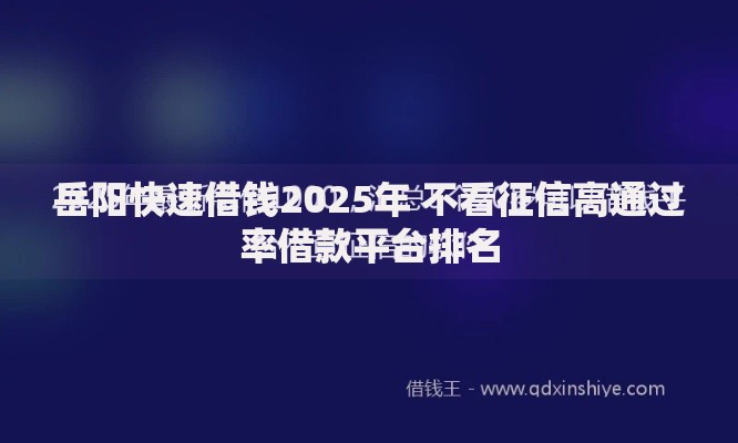 岳阳快速借钱2025年 不看征信高通过率借款平台排名
