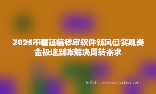 2025不看征信秒审软件新风口实现资金极速到账解决周转需求