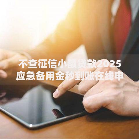 不查征信小额贷款2025应急备用金秒到账在线申请快速解决短期资金需求 不查征信小额贷款2025应急备用金秒到账在线申请快速解决短期资金需求