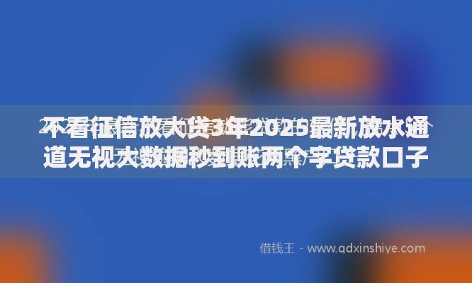 不看征信放大贷3年2025最新放水通道无视大数据秒到账两个字贷款口子大全