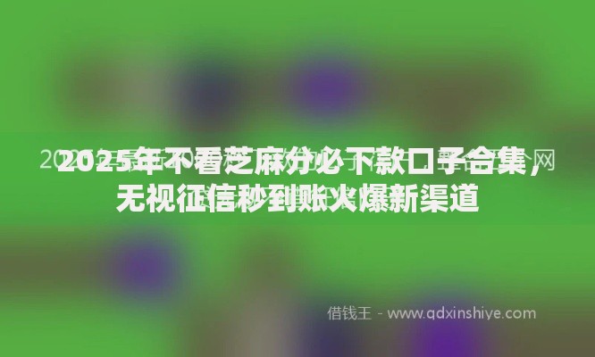 2025年不看芝麻分必下款口子合集,无视征信秒到账火爆新渠道 2025年不看芝麻分必下款口子合集,无视征信秒到账火爆新渠道