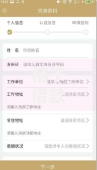 桔子借款分期2025新版上征信吗逾期后果与征信查询流程