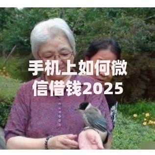 手机上如何微信借钱2025最新教程详解借钱流程与条件要求