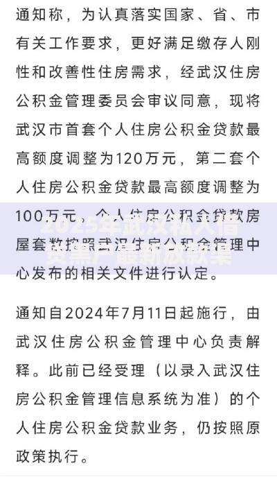 2025年武汉私人借贷黑户最新放款渠道当日到账可靠