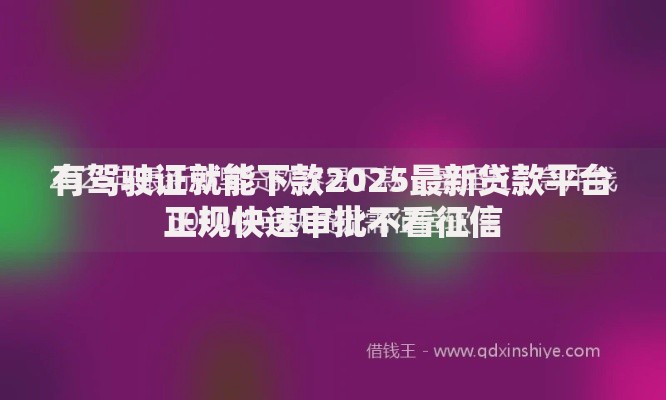 有驾驶证就能下款2025最新贷款平台正规快速审批不看征信 有驾驶证就能下款2025最新贷款平台正规快速审批不看征信