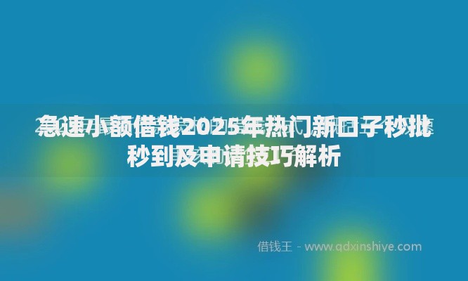 急速小额借钱2025年热门新口子秒批秒到及申请技巧解析 急速小额借钱2025年热门新口子秒批秒到及申请技巧解析