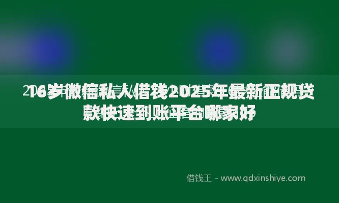 16岁微信私人借钱2025年最新正规贷款快速到账平台哪家好