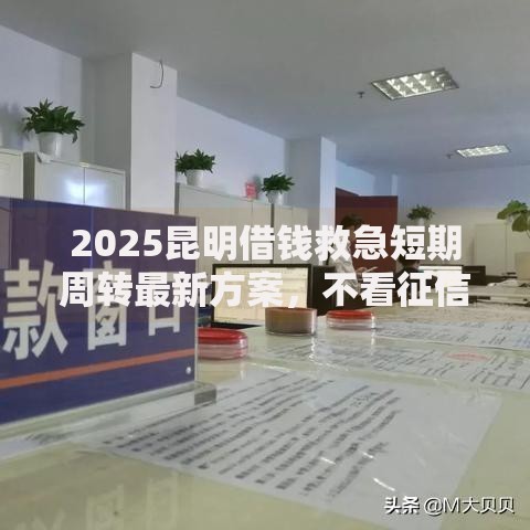 2025昆明借钱救急短期周转最新方案，不看征信线上当天放款秒到账