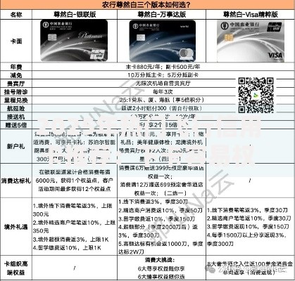 2025年热门飞行信用卡推荐：下卡容易权益炸裂的爆款精选