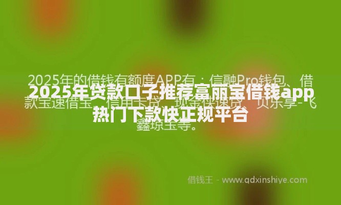 2025年贷款口子推荐富丽宝借钱app热门下款快正规平台