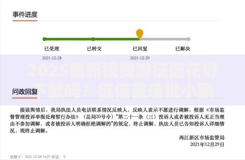 2025最新提钱游征信花好下款吗？征信差速批小额贷款渠道推荐