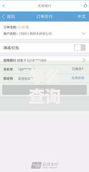 怎么查询贷款征信过不过2025最新攻略必看查询流程技巧