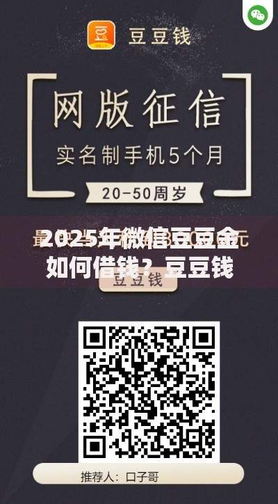 2025年微信豆豆金如何借钱?豆豆钱快速申请步骤和技巧 2025年微信豆豆金如何借钱?豆豆钱快速申请步骤和技巧