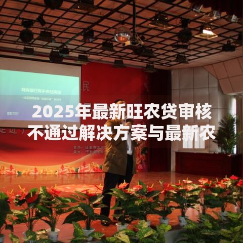 2025年最新旺农贷审核不通过解决方案与最新农村金融政策解读