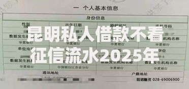昆明私人借款不看征信流水2025年最新放款渠道无视黑白户秒下款