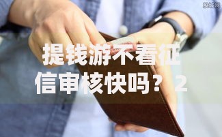 提钱游不看征信审核快吗？2025年最新下款条件全面解读