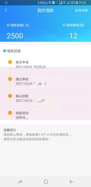 2025年无视黑户下款口子有哪些平台能快速贷款通过