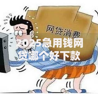 2025急用钱网贷哪个好下款五万不看征信立即到账最新热门平台