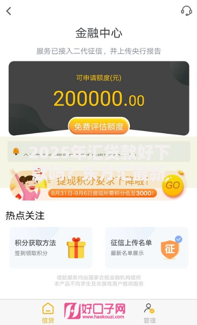 2025年汇贷款好下款吗？东方汇最新申请条件及额度评测