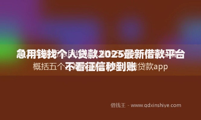 急用钱找个人贷款2025最新借款平台不看征信秒到账