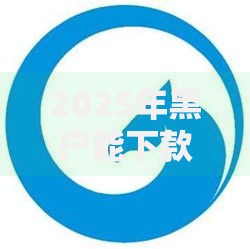 2025年黑户能下款的网贷大额新口子热门秒下 2025年黑户能下款的网贷大额新口子热门秒下
