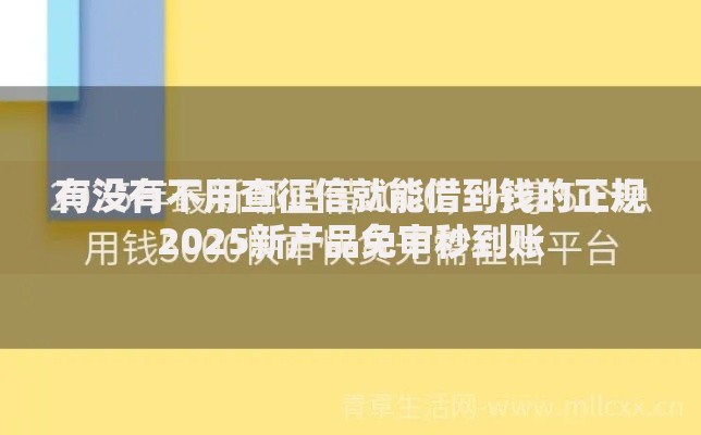 有没有不用查征信就能借到钱的正规2025新产品免审秒到账 有没有不用查征信就能借到钱的正规2025新产品免审秒到账