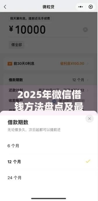 2025年微信借钱方法盘点及最新三种免息还款攻略 2025年微信借钱方法盘点及最新三种免息还款攻略