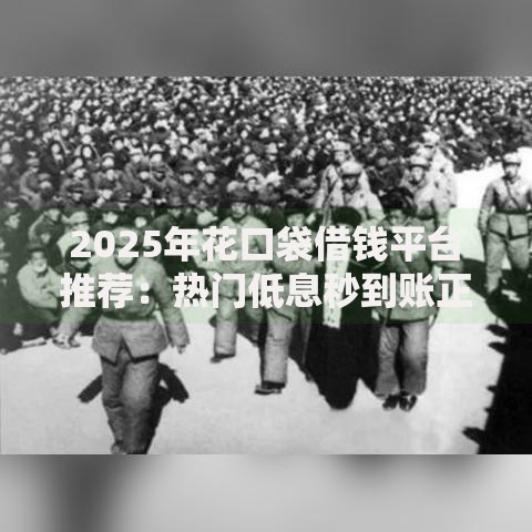 2025年花口袋借钱平台推荐：热门低息秒到账正规渠道大全