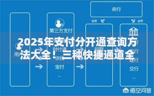 2025年支付分开通查询方法大全！三种快捷通道全面解析