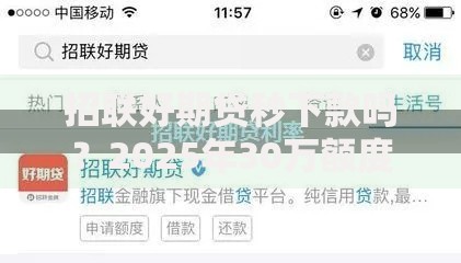 招联好期贷秒下款吗?2025年30万额度最快30秒审批到账攻略 招联好期贷秒下款吗?2025年30万额度最快30秒审批到账攻略