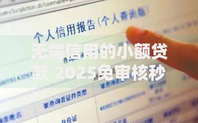 无需信用的小额贷款 2025免审核秒到账平台最新名单及申请指南 无需信用的小额贷款 2025免审核秒到账平台最新名单及申请指南