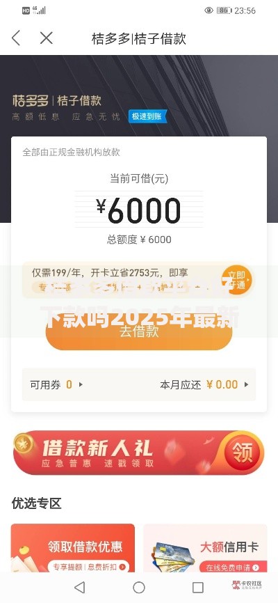 桔多多借款平台好下款吗2025年最新审核条件和放款时间