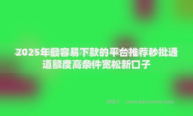 2025年最容易下款的平台推荐秒批通道额度高条件宽松新口子