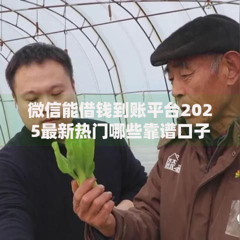 微信能借钱到账平台2025最新热门哪些靠谱口子能下款