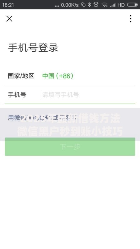 2025年最新借钱方法微信黑户秒到账小技巧 2025年最新借钱方法微信黑户秒到账小技巧