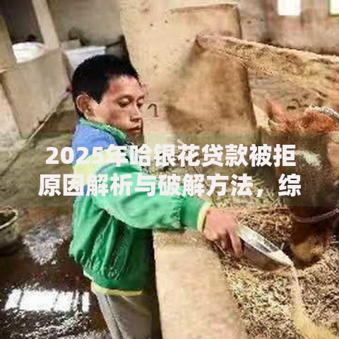 2025年哈银花贷款被拒原因解析与破解方法，综合评分速提技巧大全