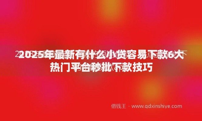 2025年最新有什么小贷容易下款6大热门平台秒批下款技巧