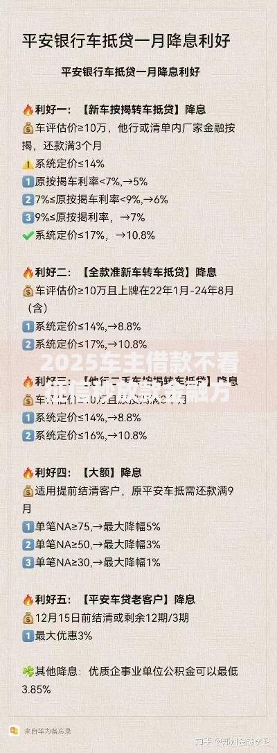 2025车主借款不看征信秒放款金融方案低息专享新福利