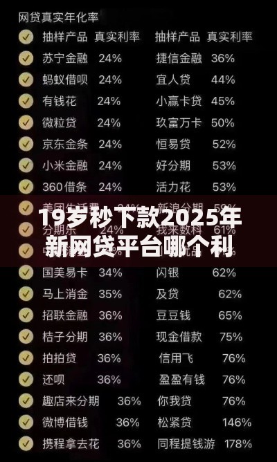19岁秒下款2025年新网贷平台哪个利息低正规靠谱容易通过